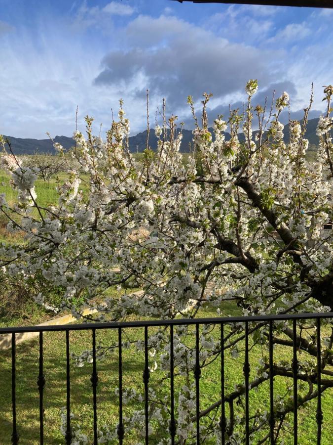 Villa Mirada A Gredos à Candeleda Extérieur photo